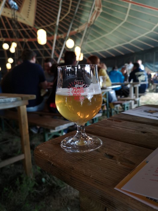 The Who Cares For Beer Festival 2018 (40)