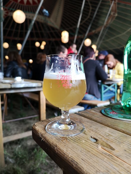 The Who Cares For Beer Festival 2018 (41)