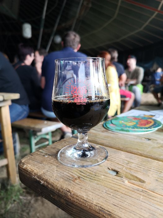 The Who Cares For Beer Festival 2018 (45)
