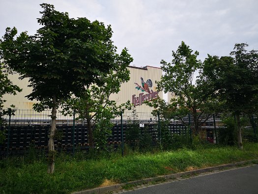 Hasseröder Brauerei (1)