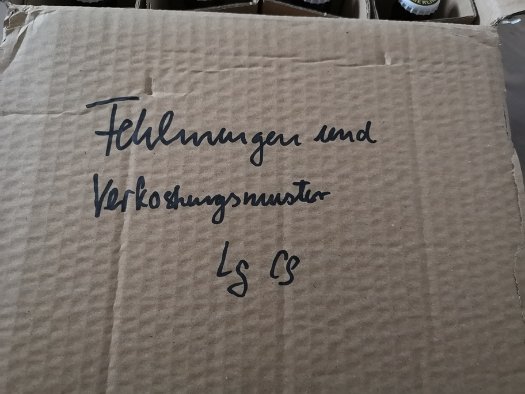 Schoppes Überraschungspaket (2)