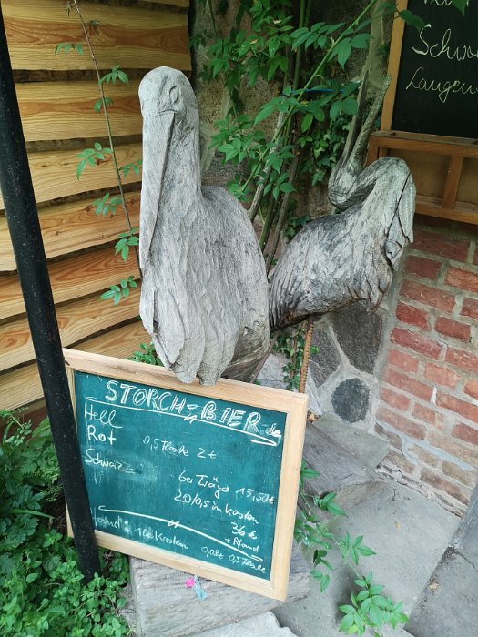 Storch-Bier (15)