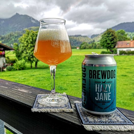 Wir sind BrewDog und das ist Dein Bier (11)